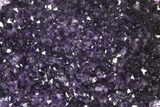 Top Quality Purple Amethyst Geode - Artigas, Uruguay #342484-1